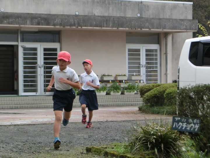 Photo_25