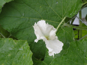 Dsc09216
