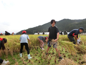 Cimg0742 Cimg0742